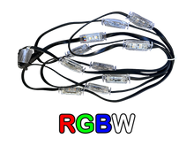 Load image into Gallery viewer, Minleon Permanent Lighting RGB/RGBW: Pebble Lights 4 pin (12 inch spacing)
