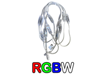 Load image into Gallery viewer, Minleon Permanent Lighting RGB/RGBW: Pebble Lights 4 pin (12 inch spacing)
