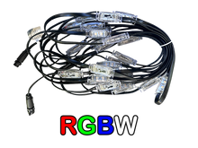 Load image into Gallery viewer, Minleon Permanent Lighting RGB/RGBW: Pebble Lights 4 pin (12 inch spacing)
