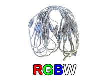 Load image into Gallery viewer, Minleon Permanent Lighting RGB/RGBW: Pebble Lights 4 pin (12 inch spacing)
